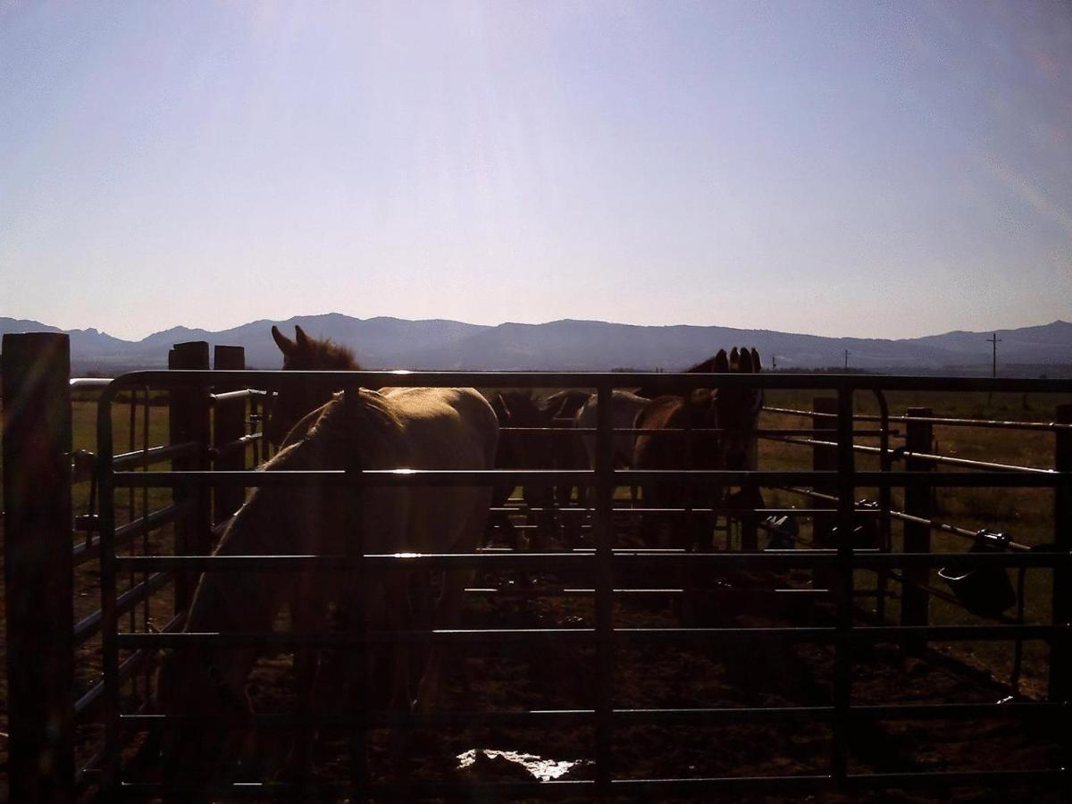 Rim Rock Motel Alturas Luaran gambar